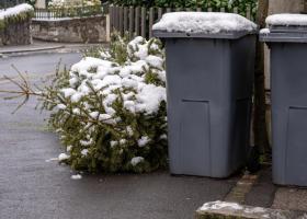 Christmas Waste